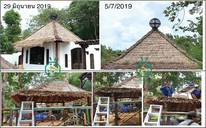 Installazione del tetto di paglia in fibra per la costruzione di capanne di tronchi da giardino di hotel resort