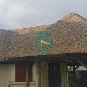 Tetto di paglia artificiale di palma per Bali Hut