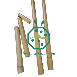 Finto Bastoni Di Bambù Per Esterni Con Giardino Di Scherma
