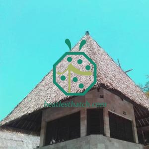 Hotel Palapa Restaurant Synthetic Thatched Roof Tiles East Timor
