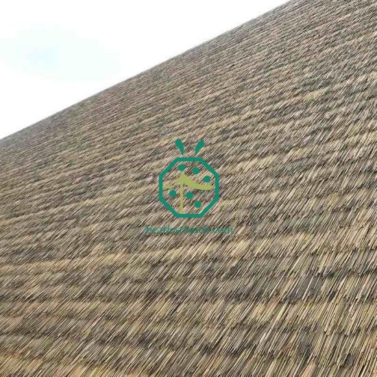 Professional Company Supplying Quality Synthetic African Thatched Roof