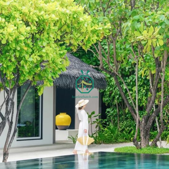 Tiki bar thatch panel