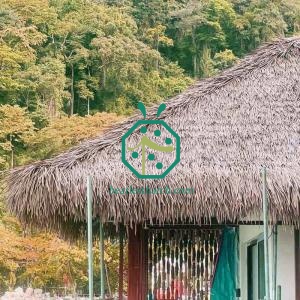 Sostituzione del tetto del bungalow sull'acqua con paglia artificiale Cadjan