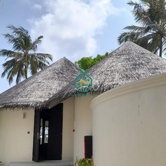 Exotic Bungalow Grass Thatched Roof Designs