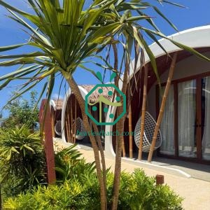 Philippines Synthetic Thatch Roofing For Bahay Kubo