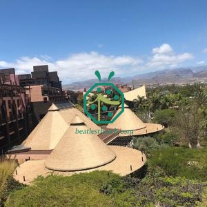 Sunshade Terrace Plastic Raffia Palm Leaf Thatch Roofing