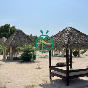 Copertura in paglia di palma impermeabile per tutte le stagioni, ideale per le destinazioni panoramiche di Palau.