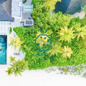 Paglia artificiale dall'aspetto moderno per la manutenzione del tetto dei ranch