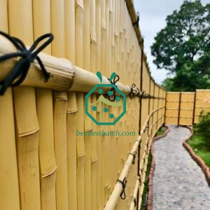 Various Diameters and Lengths of Artificial Bamboo Pole for Sale