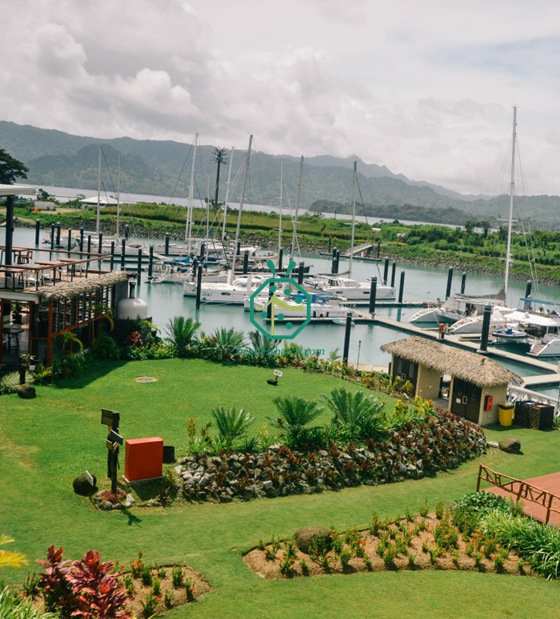 Copertura in fibra di palma per la decorazione di case Bure nelle Fiji