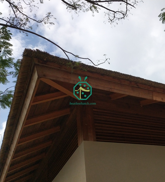 Progetto di copertura in paglia artificiale per il patio dell'hotel sul lungomare