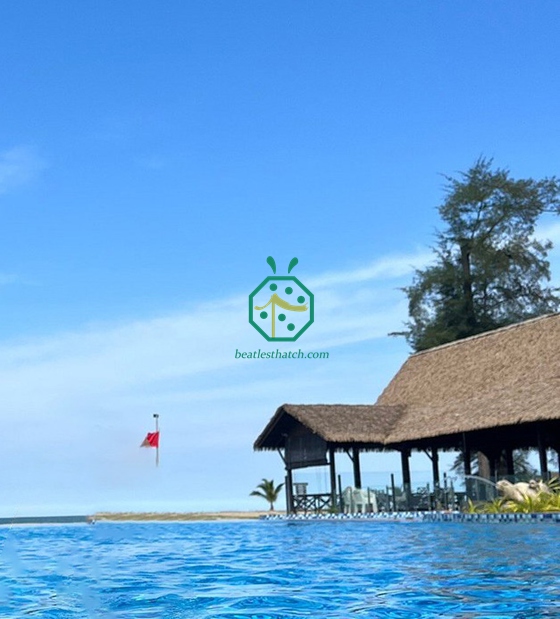 Tetto di paglia sintetico del cottage di Attap della Malesia