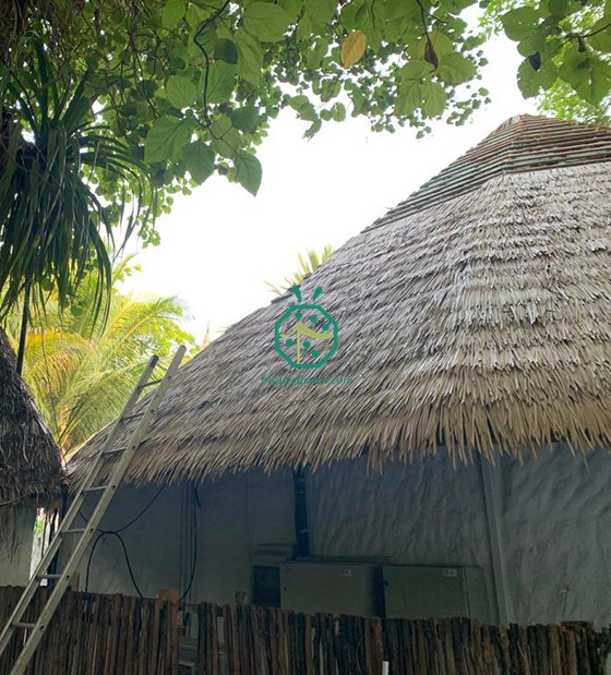 Maldives Resort Hotel Progetto di tetto di paglia artificiale per Soneva

