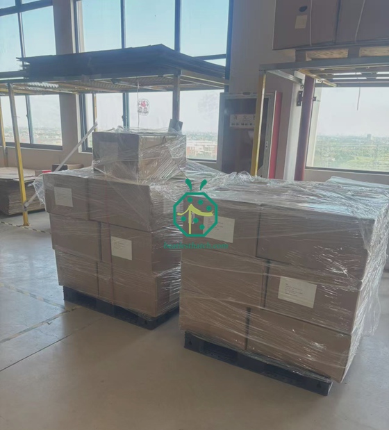 Spedizioni di coperture in fibra e schermature per la privacy alle Seychelles