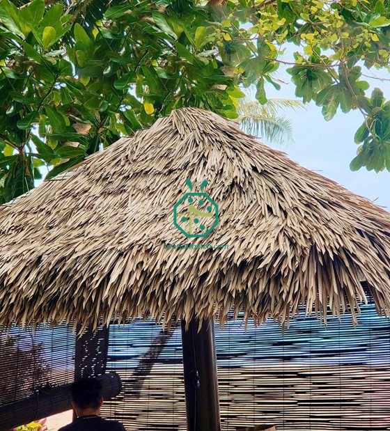 Progetto di simulazione del tetto in paglia del Sabah Beach Hotel Atap della Malesia