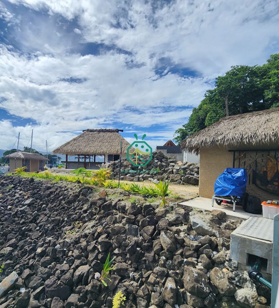 Costruzione di una casa sulle isole Fiji con pannelli sintetici in paglia di palma