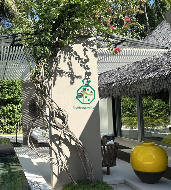 Tetto in paglia Cadjan in plastica per cortile del giardino delle Maldive
