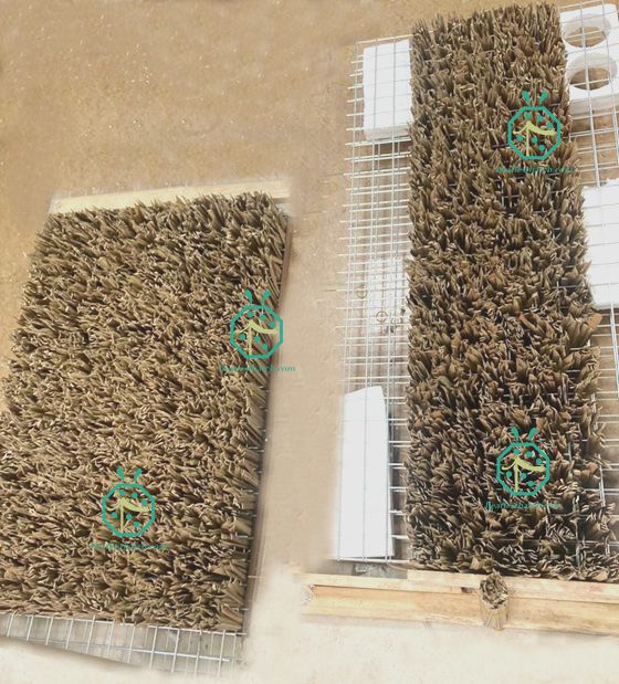 in arabia saudita la produzione del tetto di paglia artificiale è stata completata
