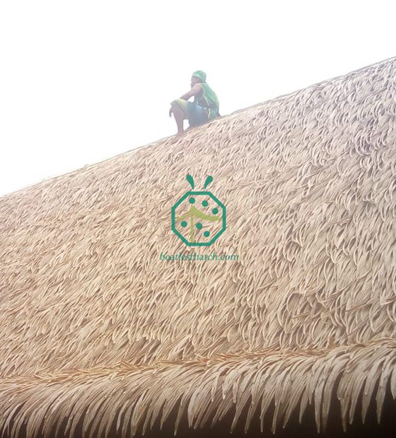 Progetto di tetto di paglia artificiale di palma in Oceania